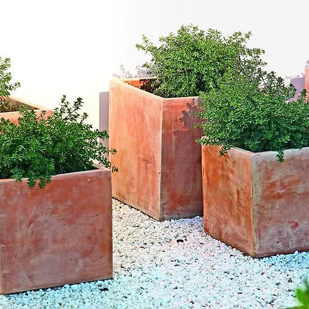 Apartment Cabot Sivella *